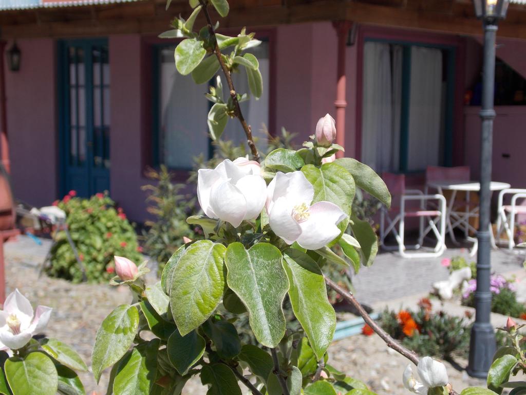 Posada Caracoles Puerto Pirámides Buitenkant foto